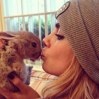 Cara Delevigne cura su desamor con un conejo
