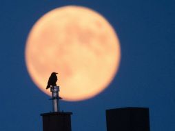 La luna parecerá enorme, una ilusión causada por la ilusión del cielo. ARCHIVO /