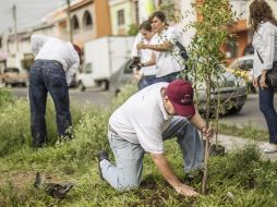La reforestación se realizó en la colonia Jardines del Porvenir.  /