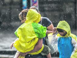 En oficinas, escuelas y negocios, los compañeros aparecen empapados, estilando agua a cada paso.  /