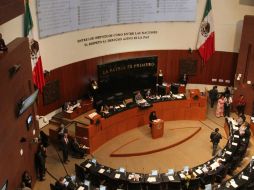 Hasta el momento, la sesión extraordinaria ha transcurrido en orden en la sala. NTX /