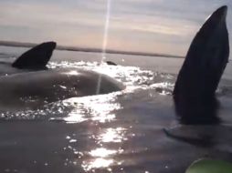 La grabación tiene casi 900 mil reproducciones en YouTube. ESPECIAL /