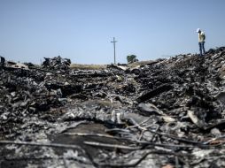 El vuelo MH17 se estrelló el pasado 17 de julio, matando a las 298 personas a bordo. AFP /
