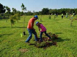 Expertos urgen a realizar un programa metropolitano de reforestación en las zonas donde se presenta un mayor déficit de árboles. ARCHIVO /