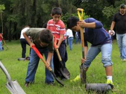 En Guadalajara existe un árbol por cada tres personas; el programa pretende aumentar a tres árboles por habitante. ARCHIVO /
