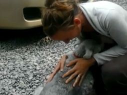 Cuando se volvieron a encontrar, el perro se acercó a ella y empezó a llorar muy fuerte. ESPECIAL /