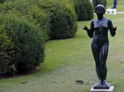 La exuberante zona que se extiende hasta los jardines de las Tullerías proporciona a las ratas numerosos lugares donde esconderse. AP /