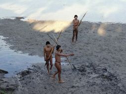 Estiman que los indígenas aislados atravesaron la frontera de Perú hacia Brasil debido a presiones ejercidas por taladores. AFP /