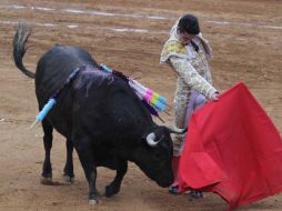 Se prevé crear un registro estatal y municipal de personas físicas o morales, que se dedican a la protección y crianza de los animales. ARCHIVO /
