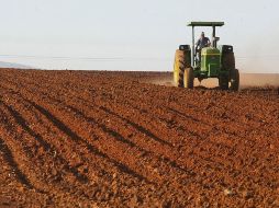 Según expertos, la medida será bien recibida por el sector agroalimentario, pues era una reforma esperada por todo el sector. ARCHIVO /