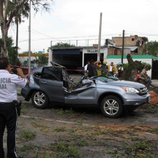 Árbol cae y lesiona a una persona; afecta al Macrobús