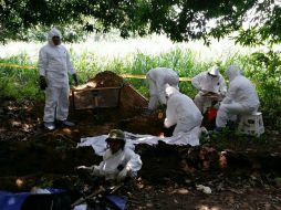 Personal forense trabajó varias horas para rescatar los cuerpos de las fosas. EFE /
