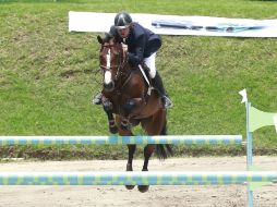 Dominante. Maurer, a lomos 'Porteña', logró el mejor tiempo, 37.54 segundos, en la prueba, a 1.40 metros de altura.  /