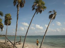El hallazgo tuvo lugar en la localidad de Puerto Esperanza, en la provincia de Pinar del Río. ARCHIVO /