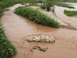 Por el momento, los recursos serán aportados por la administración sonorense. ARCHIVO /