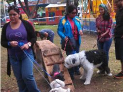 Los vecinos de la zona y sus mascotas disfrutan de la área verde.  /