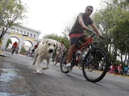 Ayer, la  Vía RecreActiva cumplió sus primeros 10 años al servicio de la ciudad.  /