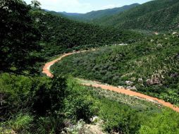 Más de 22 mil habitantes han sido afectados por la contaminación de los ríos Bacanuchi y Sonora. ARCHIVO /