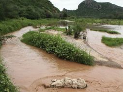 El río Sonora fue contaminado hace un mes por el derrame de ácido sulfúrico de una mina propiedad de Grupo México. AP ARCHIVO /