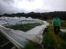 El tornado afectó diversos invernaderos en el municipio de Apan. FACEBOOK  Apan Hidalgo México  /