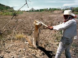 La tribu asegura que el gobierno sonorense desea apoderarse del agua para abastecer empresas automotrices y cerveceras. NTX ARCHIVO /