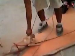 El video ha causado indignación entre los usuarios de redes sociales. FACEBOOK  Miguel Angel Flower's  /