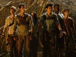 Los jóvenes tratarán de escapar a través de un enigmático laberinto ESPECIAL  themazerunnermovie.com  /