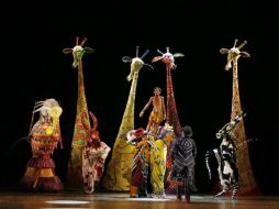 La puesta en escena se inauguró en 1997 y narra la historia de un pequeño cachorro de león que se hace adulto. TWITTER / @TheLionKing
