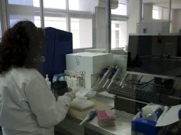 Peritajes confirman que los restos pertenecen al individuo desaparecido en el canal de avenida Patria. EL INFORMADOR  ARCHIVO  /