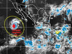 Rachel se desplaza hacia nor-noroeste a nueve Kmh, con vientos máximos sostenidos de 140 kKmh y rachas de hasta 165. TWITTER / @conagua_clima