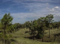 La energía geotérmica se obtiene del calor interno de la tierra. EL INFORMADOR /