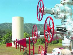 Infraestructura. Dentro del bosque hay 13 plataformas para pozos geotérmicos y 12 pozos perforados listos para utilizarse. EL INFORMADOR /