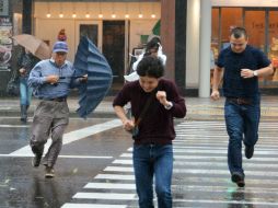 Autoridades emitieron alertas especiales ante el riesgo de corrimientos de tierras, inundaciones, fuerte oleaje y aguaceros. AP / T. Ichikawa