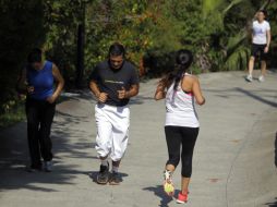 El 53.1 por ciento de la población activa está representado por hombres y 46.9 por ciento por mujeres. EL INFORMADOR / ARCHIVO