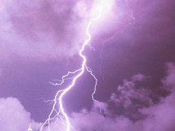 Autoridades recomendaron a la población no situarse bajo árboles durante tormenta eléctrica. AP / ARCHIVO.