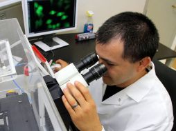 Los galardonados recibirán su premio el 10 de diciembre en Estocolmo EFE / ARCHIVO