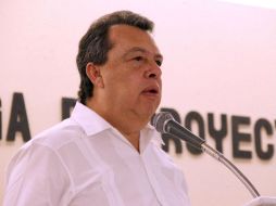 En el PRD, reconocen como valiosa la propuesta del gobernador de Guerrero para someterse a una consulta. EFE / F. Meza