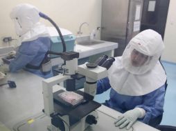 Personal utiliza los trajes y equipos para atender eventuales casos de ébola. EFE / P. Aguilar