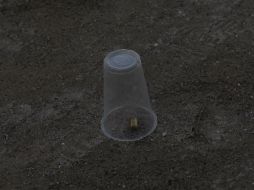 En el sitio se encontraron tres casquillos de arma calibre 40. EL INFORMADOR / ARCHIVO