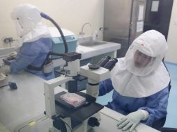 Las acciones preventivas para detectar casos de ébola incluyen adiestramiento del personal, así como acondicionamiento de los espacios. EFE / P. Aguilar