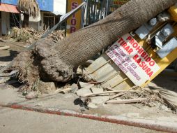 Los daños que ocasión el huracán 'Odile' en Baja California Sur ascienden a los 12 mil millones de pesos. NTX / ARCHIVO