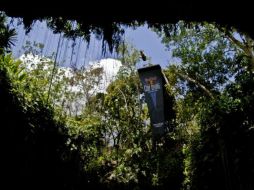 El cenote sagrado de Ik Kil la sede final de la serie mundial de Clavados. TWITTER / @redbullMEX.