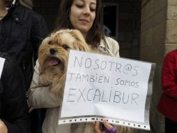 Pese a la fuerte campaña desencadenada en las redes sociales y los esfuerzos de miles de activistas, ''Excálibur'' fue sacrificado. EFE / ARCHIVO