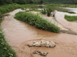 La segunda fase de reactivación incluye indemnizaciones económicas a la población afectada por la contaminación de Grupo México. AP / ARCHIVO
