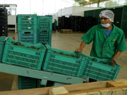 En las exportaciones no petroleras, se menciona un incremento de 14.4 por cieneto anual en las dirigidas a EU. NTX / ARCHIVO