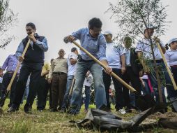 Esta mañana, el comité encabezó una jornada de reforestación con 500 árboles en el Parque Ávila Camacho. EL INFORMADOR / F. Atilano