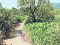 El arroyo El Chacuaco  es testigo de la rica historia de la región. EL INFORMADOR / V. García