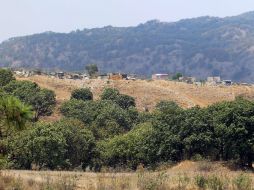 La Primavera fue decretado como Área de Protección de Flora y Fauna en el año de 1980. EL INFORMADOR / ARCHIVO