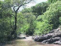 El arroyo El Amparo,  testigo de la rica historia de la región. EL INFORMADOR / V. García