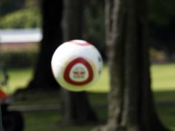 Esta Copa tiene como fin promover la actividad deportiva en los jóvenes. EL INFORMADOR / ARCHIVO